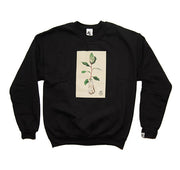 Absinth - Farmer Dodd Crew