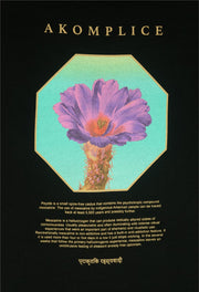 Poster with a cactus flower and 'Akomplice' branding on a black background