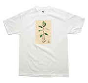 Absinth - Farmer Dodd Tee