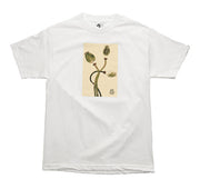 White t-shirt with a graphic of flowers on a beige background