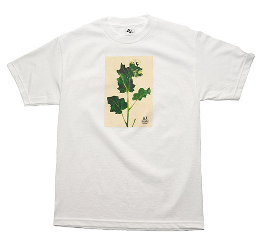 Ursaia - Farmer Dodd Tee