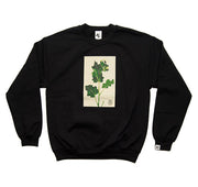 Ursala - Farmer Dodd Crew